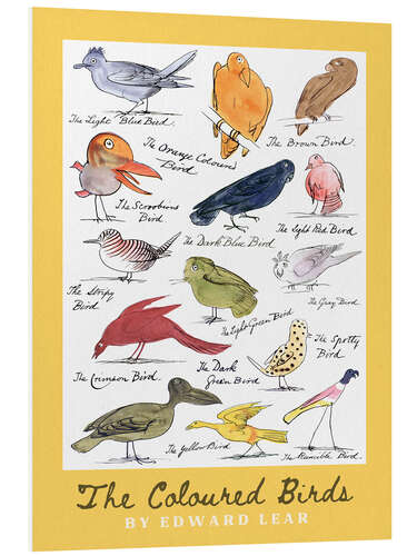 Foam board print The Coloured Birds Yellow Compilation