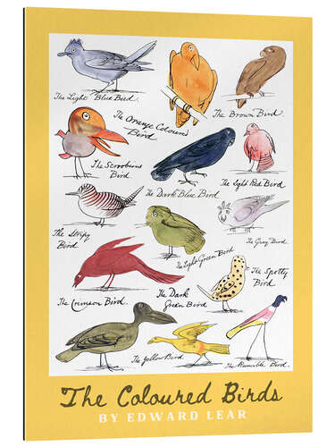 Gallery print The Coloured Birds Yellow Compilation