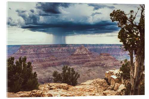 Acrylglasbild Grand-Canyon-Nationalpark