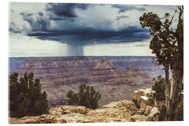 Tableau en verre acrylique  Grand Canyon National Park - Chiara Salvadori