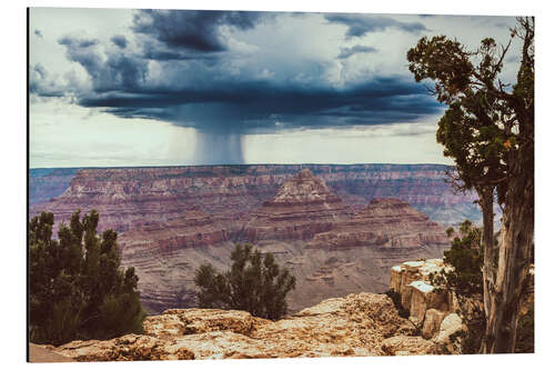 Stampa su alluminio Grand Canyon National Park