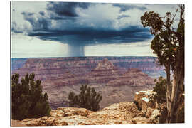 Quadro em plexi-alumínio Grand Canyon National Park