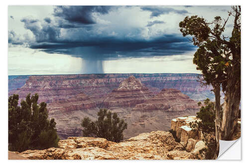 Naklejka na ścianę Grand Canyon National Park