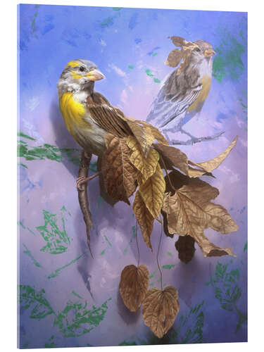 Obraz na szkle akrylowym Wings and Leaves