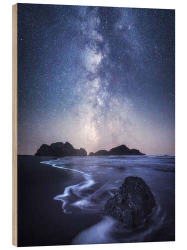 Wood print The Milky Way over the beach