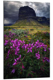 Aluminium print A summer day in Iceland