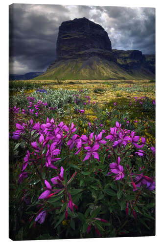 Lerretsbilde A summer day in Iceland