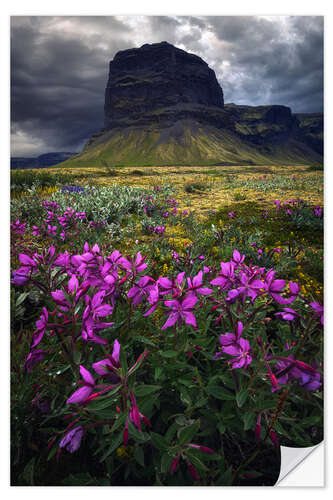 Naklejka na ścianę A summer day in Iceland