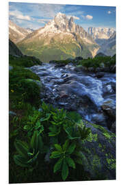 Foam board print A summer evening near Chamonix in the French Alps