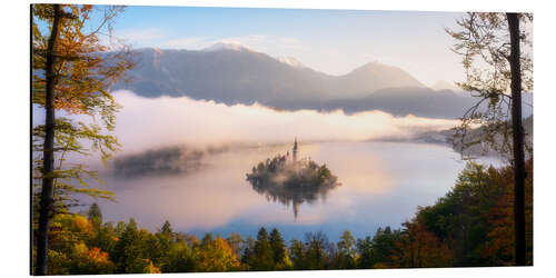 Aluminium print Foggy autumn morning over Lake Bled in Slovenia