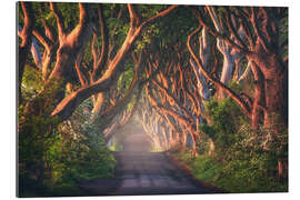 Tableau en plexi-alu Morning light at the Dark Hedges in Northern Ireland