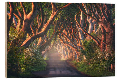 Holzbild Morgenlicht bei den Dark Hedges in Nordirland