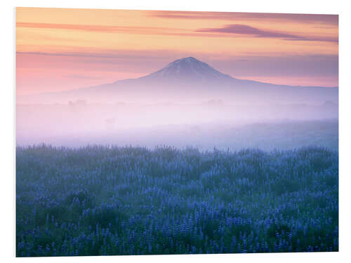 Foam board print Misty sunrise in Iceland