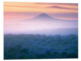 Quadro em PVC Misty sunrise in Iceland