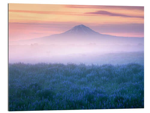 Gallery Print Vernebelter Sonnenaufgang in Island