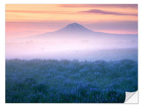 Sisustustarra Misty sunrise in Iceland