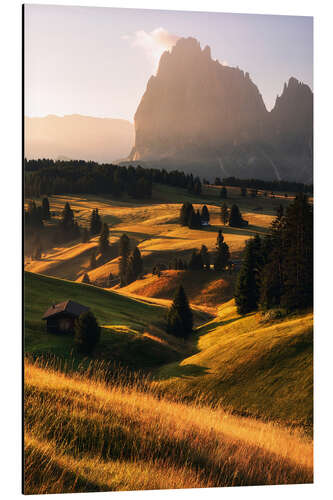 Quadro em alumínio Golden summer morning on the Alpe di Siusi in South Tyrol