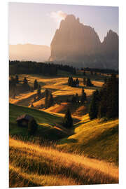 Stampa su PVC Golden summer morning on the Alpe di Siusi in South Tyrol