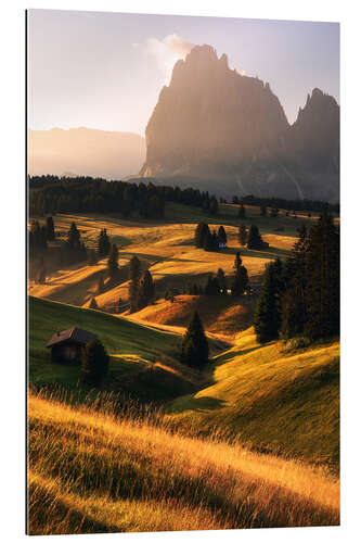 Tableau en plexi-alu Golden summer morning on the Alpe di Siusi in South Tyrol