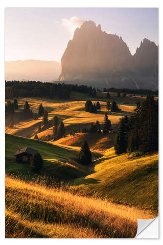 Wall sticker Golden summer morning on the Alpe di Siusi in South Tyrol