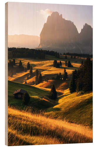 Wood print Golden summer morning on the Alpe di Siusi in South Tyrol