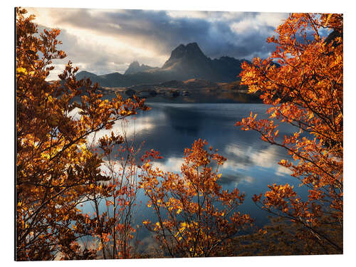 Aluminium print Autumn morning in Lofoten, Norway