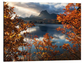 Alumiinitaulu Autumn morning in Lofoten, Norway