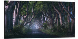 Aluminiumsbilde The Dark Hedges at dawn