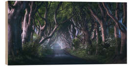 Tableau en bois The Dark Hedges at dawn