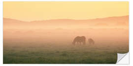 Sticker mural Two Icelandic horses on a foggy morning