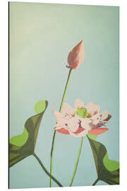 Magnettafel Die Lotusblume