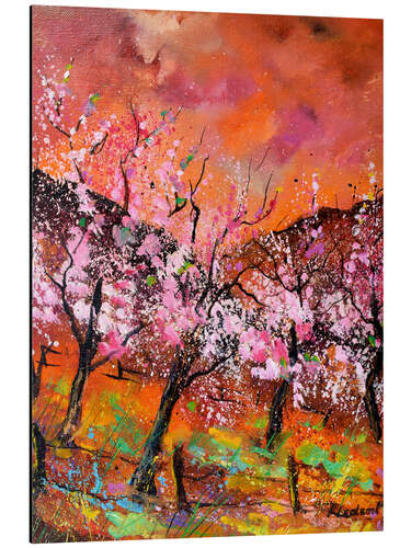 Aluminium print Bloomong cherry trees