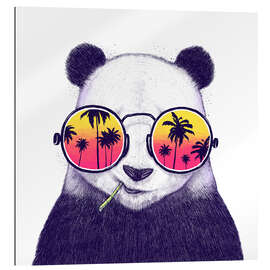 Gallery print Tropical panda