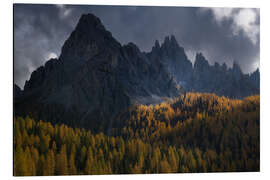 Cuadro de aluminio Larch trees in full autum colors in the Italian Dolomites