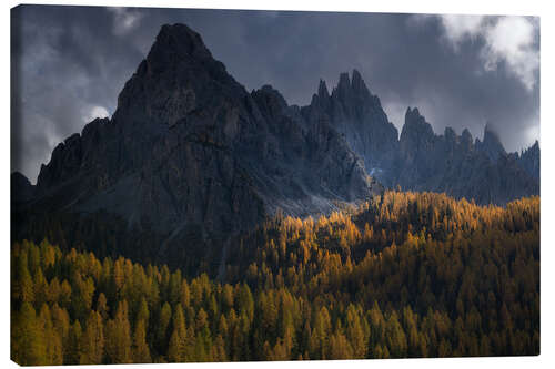 Canvas print Larch trees in full autum colors in the Italian Dolomites