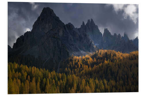 Quadro em PVC Larch trees in full autum colors in the Italian Dolomites