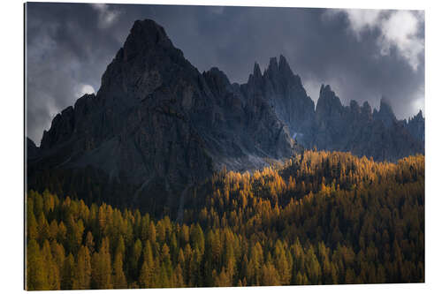 Galleritryck Larch trees in full autum colors in the Italian Dolomites