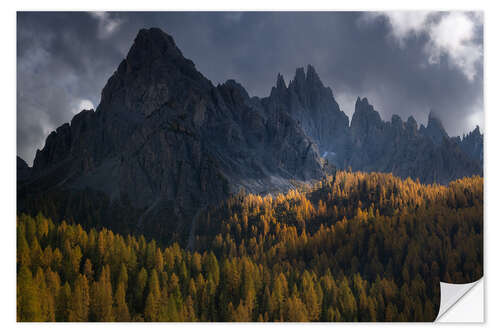 Vinilo para la pared Larch trees in full autum colors in the Italian Dolomites