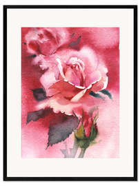 Framed art print Rose petals