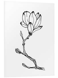 Foam board print Blooming magnolia