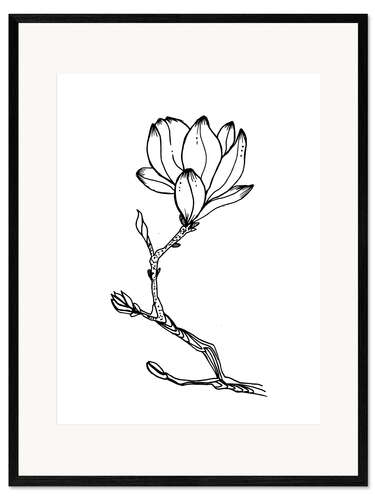 Ingelijste kunstdruk Blooming magnolia