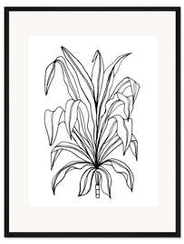 Gerahmter Kunstdruck Pflanze