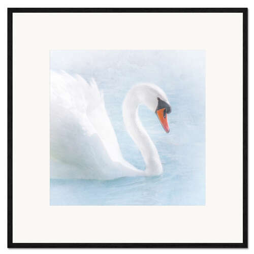 Gerahmter Kunstdruck Schwan