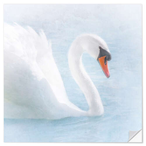 Naklejka na ścianę Swan