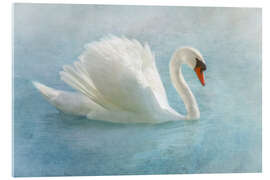 Acrylic print Proud swan