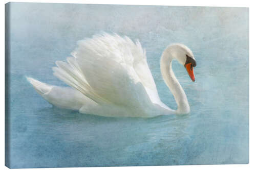 Canvas print Proud swan