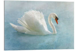 Stampa su plexi-alluminio Proud swan