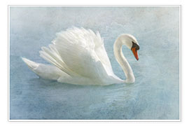 Wall print  Proud swan - Claudia Moeckel