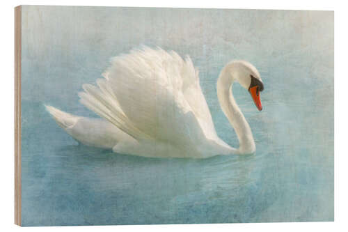 Puutaulu Proud swan