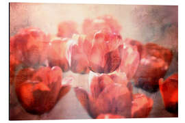 Aluminium print Red tulips